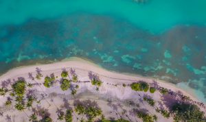 aerial shot of an island in puerto rico